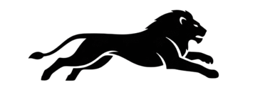 fresh collection: redefine your style